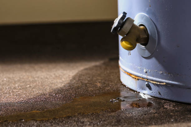 Best Carpet water damage restoration  in Lakes West, CT