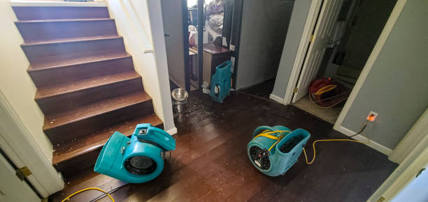 Best Water damage cleanup near me  in Lakes West, CT