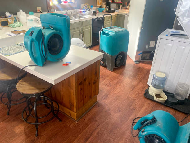 Best Flood damage cleanup  in Lakes West, CT