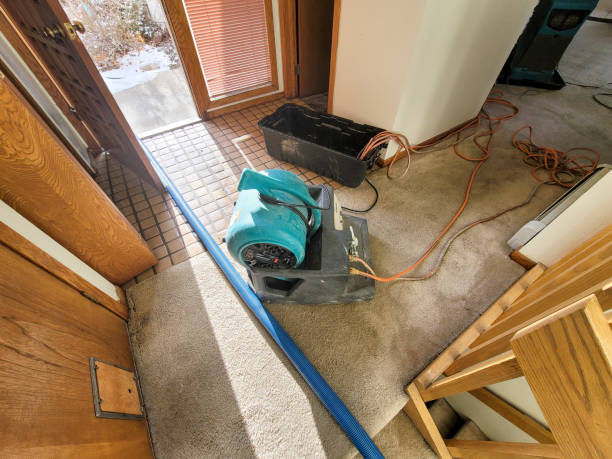 Reliable CT Water damage restoration Solutions
