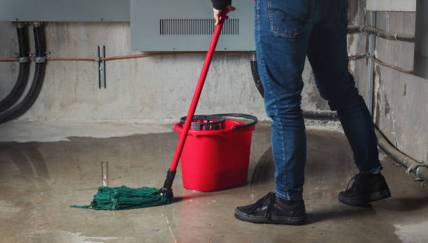 Best Water damage restoration near me  in Lakes West, CT