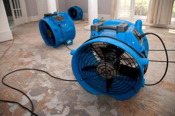 Best Water damage restoration experts  in Lakes West, CT