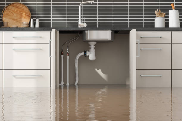 Best Commercial water damage restoration  in Lakes West, CT