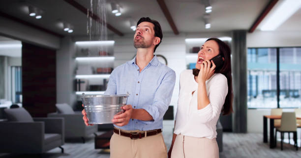 Best Sewage cleanup and water damage restoration  in Lakes West, CT